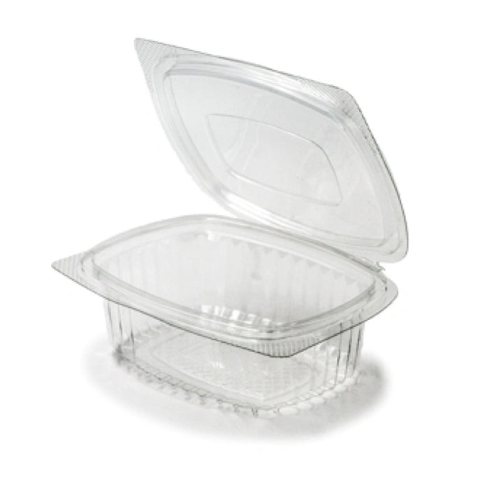 small clear hinged plastic food container